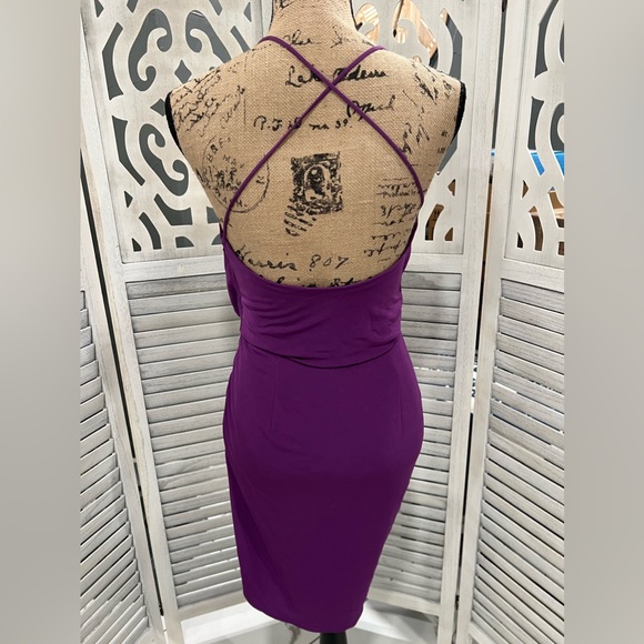 Haute Hippie Purple Kaitlin Silhouette Wrap Front Dress - Picture 7 of 13